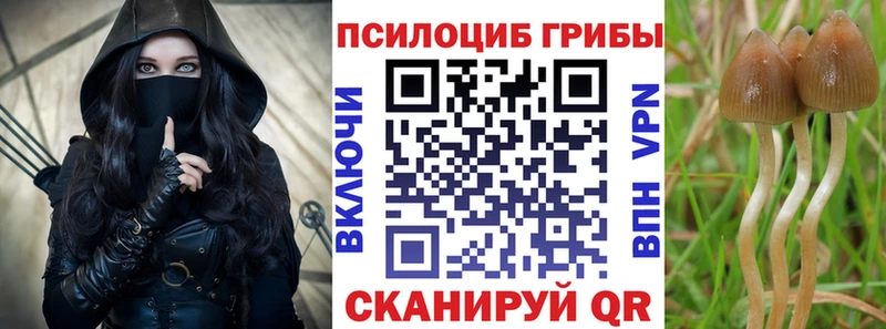 как найти закладки  Дербент  omg ССЫЛКА  Галлюциногенные грибы Magic Shrooms 